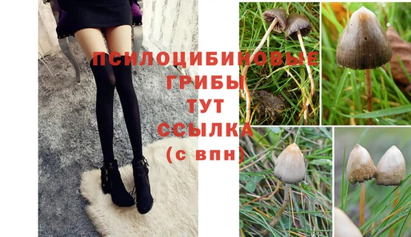 spice Алзамай
