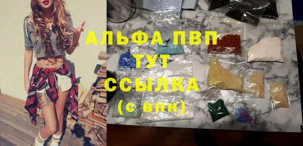 spice Алзамай