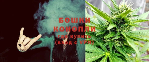 хмурый Аркадак