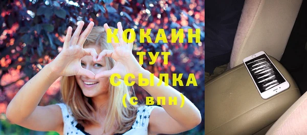 бошки Алексин