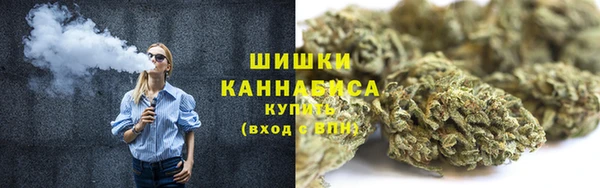 бошки Алексин