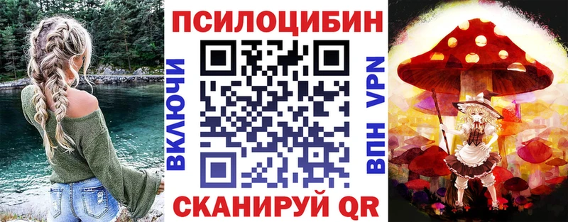 где купить Ленинск Псилоцибиновые грибы MAGIC MUSHROOMS